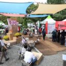 청년쉐프 이미지