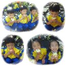 하늘재농원 이미지