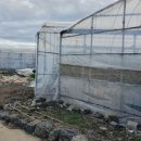 도순초등학교 이미지