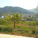 주원부동산중개 이미지