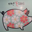 59년똥돼지
