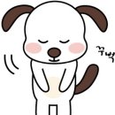 주니슈
