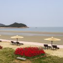 임자 전장포 새우젓토굴 이미지