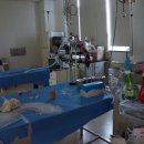 전북대 익산켐퍼스(동물병원) 이미지