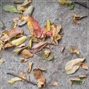 오케이 골프 | 오케이온골프 쇼핑몰 이용 후기와 추천 이유 10월 8일