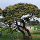 운봉읍 삼산마을 이미지