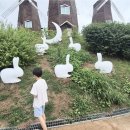 연천세계캠핑체험존 - 야영장 이미지