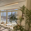 시즌모먼트 이미지