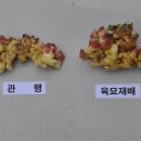 지피 이미지