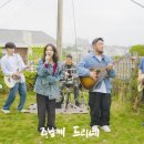 위플랜