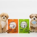 대한동물병원(출장전문) 이미지