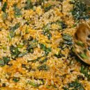 솔흑염소농장 이미지