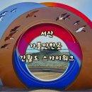 서산 가볼만한 곳 간월도 스카이워크 애견동반 간월암 서산 일몰 명소