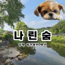 농출산물 마트 | 양평 애견동반 펜션 추천, 계곡 앞 히노끼탕 숙소 ‘나린숨’ 가족여행 후기