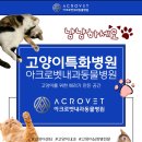 아크로벳 내과동물병원 이미지