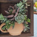 용부원2리 이미지