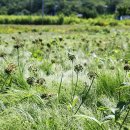 새벽별민박 이미지