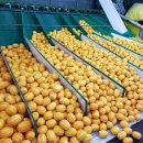 은이농장 이미지