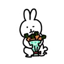 지오아라 이미지