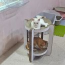 프리펫시티 이미지