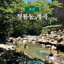 청룡동-29 이미지