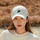 블리스캣 이미지