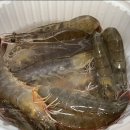 신금호역 이미지