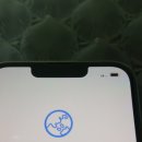 하루와이틀 | 아이폰13프로중고 (하루,이틀 사용 후기)