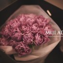 미지하우스 이미지