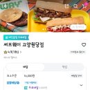 써브웨이고양 이미지
