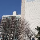 강남-161 이미지