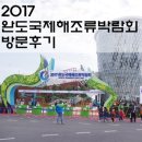 수산고앞 | [완도]2017 완도 국제 해조류박람회 방문 후기! 가족여행지 추천