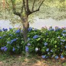 반송동152 이미지