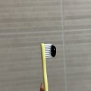 엘리트덴탈 이미지