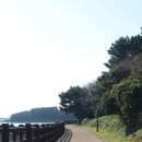 성산읍 한도교 | [제주오름 산책 후기] 식산봉