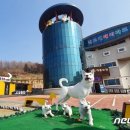 박진규농장 Daum카페