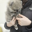 대홍약국 이미지