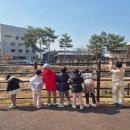 놀이놀이 이미지