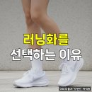 솔다웃