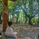 상도근린공원(상도동 531-15) | 동작구 아기랑 숲놀이터 상도근린공원 + 유아숲체험장