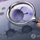 고대 통일신라 멸망, '기후변화'와 '전염병'도 한 원인 이미지