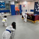 태권한류 이미지