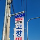 유가고향떡국