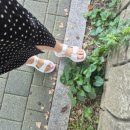 삼성사랑니졸업치과의원 이미지