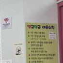 댕글멍글 이미지