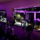 클라우드짐 선유도 이미지