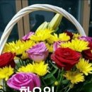 토요일 이미지