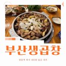 오동통 한우생곱창 | 평촌회식 장소 1순위! 25년 내공의 부산생곱창 평촌본점에서 인생 곱창 만났습니다.