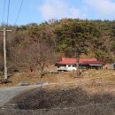 월명산야생화