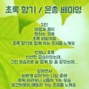 초록향기 - 성남시 수정구 달래내로369번길 8 | 초록향기